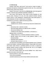 Diplomdarbs 'Personāla meklēšanas un atlases procesa pilnveidošana iestādē „X”', 43.