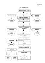 Diplomdarbs 'Personāla meklēšanas un atlases procesa pilnveidošana iestādē „X”', 118.