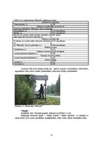 Diplomdarbs 'Kempinga izveide Stalbē', 32.