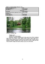 Diplomdarbs 'Kempinga izveide Stalbē', 33.