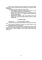 Diplomdarbs 'Kempinga izveide Stalbē', 47.