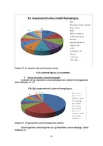 Diplomdarbs 'Kempinga izveide Stalbē', 82.
