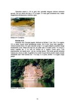 Diplomdarbs 'Kempinga izveide Stalbē', 91.