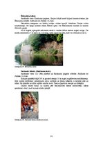 Diplomdarbs 'Kempinga izveide Stalbē', 93.