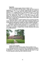 Diplomdarbs 'Kempinga izveide Stalbē', 96.