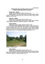 Diplomdarbs 'Kempinga izveide Stalbē', 98.