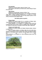 Diplomdarbs 'Kempinga izveide Stalbē', 99.