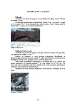 Diplomdarbs 'Kempinga izveide Stalbē', 100.