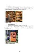 Diplomdarbs 'Kempinga izveide Stalbē', 104.