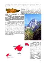 Referāts 'Spānija', 10.