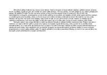 Eseja 'Eksāmens rotaļu analīze', 2.