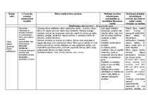 Eseja 'Eksāmens rotaļu analīze', 3.