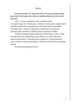 Referāts 'Tirgus analīze 2007.un 2008.gadam', 1.