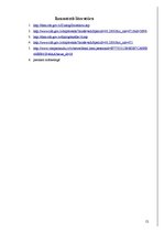 Referāts 'Tirgus analīze 2007.un 2008.gadam', 12.