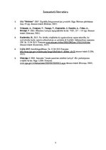 Konspekts 'Latvijas aerofotografēšanas vēsture un materiāli no 1990.gada', 8.