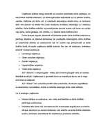 Prakses atskaite 'Prakse a/s "Aldaris"', 12.