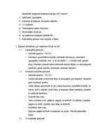 Prakses atskaite 'Prakse a/s "Aldaris"', 19.