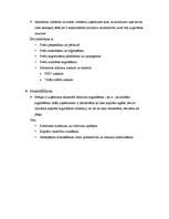 Prakses atskaite 'Prakse a/s "Aldaris"', 30.