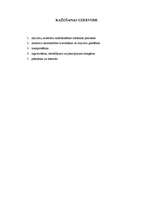 Prakses atskaite 'Prakse a/s "Aldaris"', 31.