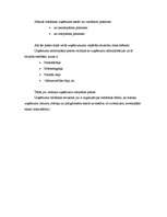 Prakses atskaite 'Prakse a/s "Aldaris"', 36.