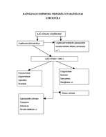 Prakses atskaite 'Prakse a/s "Aldaris"', 37.