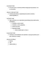 Prakses atskaite 'Prakse a/s "Aldaris"', 38.