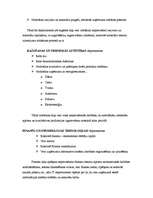 Prakses atskaite 'Prakse a/s "Aldaris"', 46.