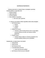 Prakses atskaite 'Prakse a/s "Aldaris"', 54.