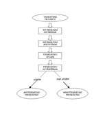 Prakses atskaite 'Prakse a/s "Aldaris"', 63.