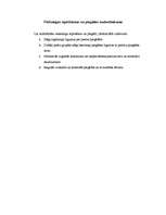 Prakses atskaite 'Prakse a/s "Aldaris"', 78.