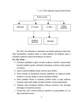 Prakses atskaite 'SIA "XXX" finanšu analīze un bankrotēšanas prognoze', 4.