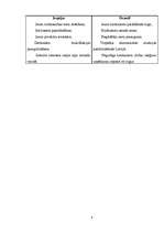 Prakses atskaite 'SIA "XXX" finanšu analīze un bankrotēšanas prognoze', 6.