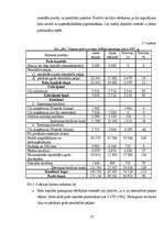 Prakses atskaite 'SIA "XXX" finanšu analīze un bankrotēšanas prognoze', 13.