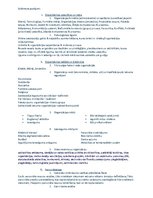 Konspekts 'Vadības teorija', 1.