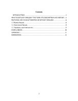 Referāts 'Estuary English', 2.