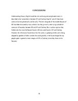 Referāts 'Estuary English', 10.