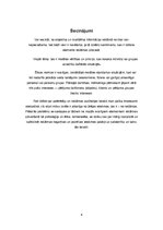 Referāts 'Reklāmas ētika', 6.