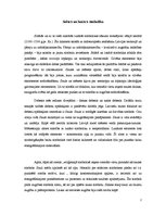 Referāts 'Solārā un lunārā simbolika Latvijā', 2.