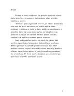 Referāts 'Kolektīva dzīves cikls', 5.