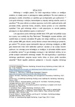 Eseja 'Digitālā mārketinga stratēģija', 2.