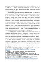 Eseja 'Digitālā mārketinga stratēģija', 4.