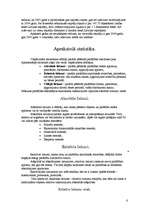 Referāts 'Latvijas un ārzemju ceļotājus raksturojošie rādītāji', 6.