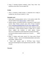 Referāts 'Aktuālie problēmjautājumi, kvalificējot un izmeklējot noziedzīgus nodarījumus pa', 34.