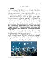 Referāts 'Viedās pilsētas', 4.