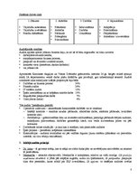 Konspekts 'Iekšējais audits', 8.