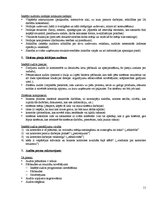 Konspekts 'Iekšējais audits', 11.