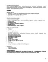 Konspekts 'Iekšējais audits', 16.