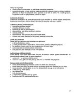 Konspekts 'Iekšējais audits', 17.