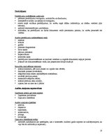 Konspekts 'Iekšējais audits', 19.