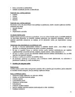 Konspekts 'Iekšējais audits', 31.